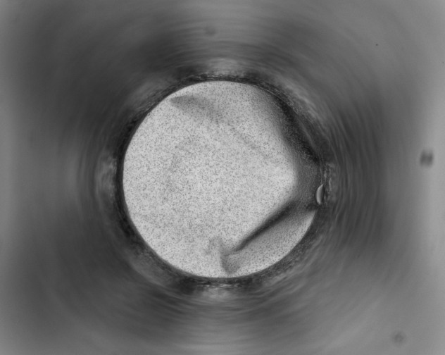X0000102870550200809151238