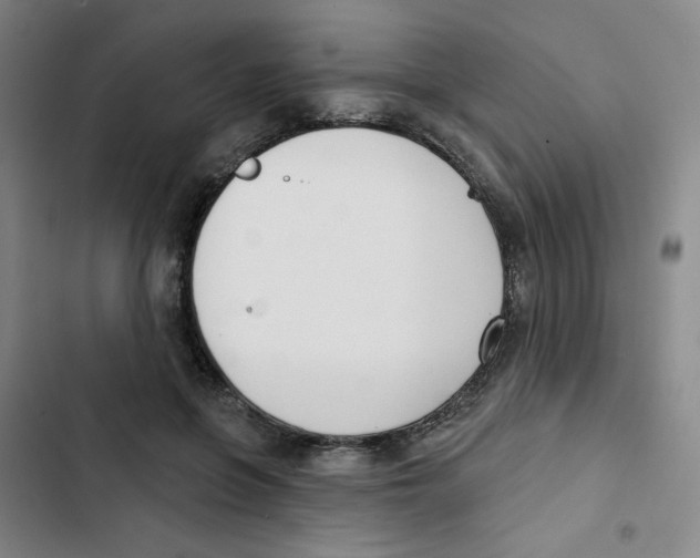 X0000102870551200809151238