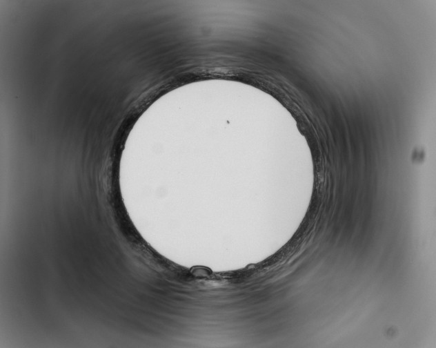 X0000102870552200809151238