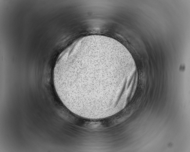 X0000102870554200809151238