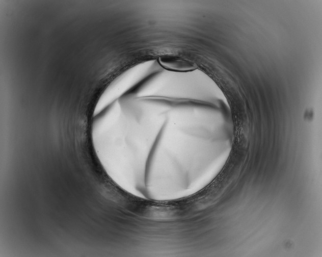 X0000102870556200809151238