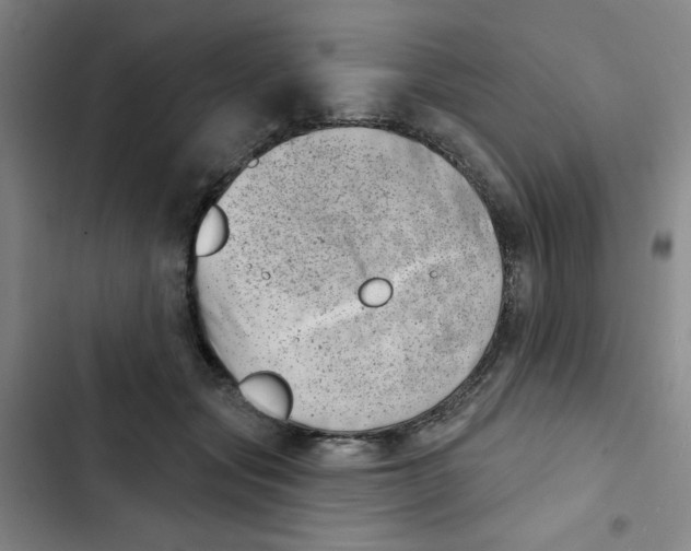 X0000102870557200809151238