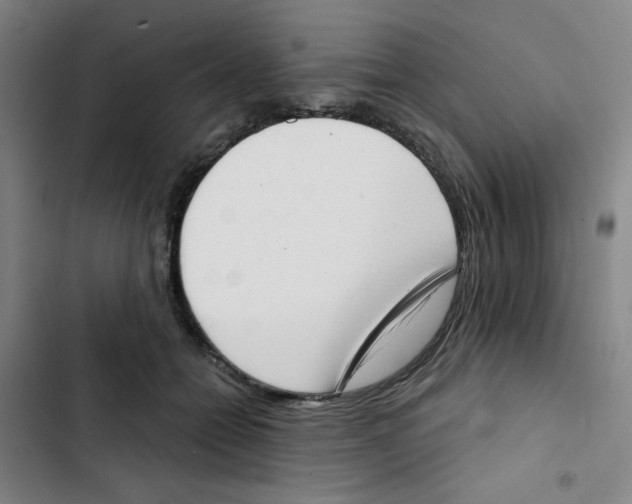 X0000102870558200809151238