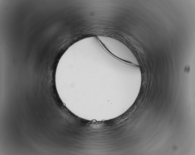 X0000102870560200809151238