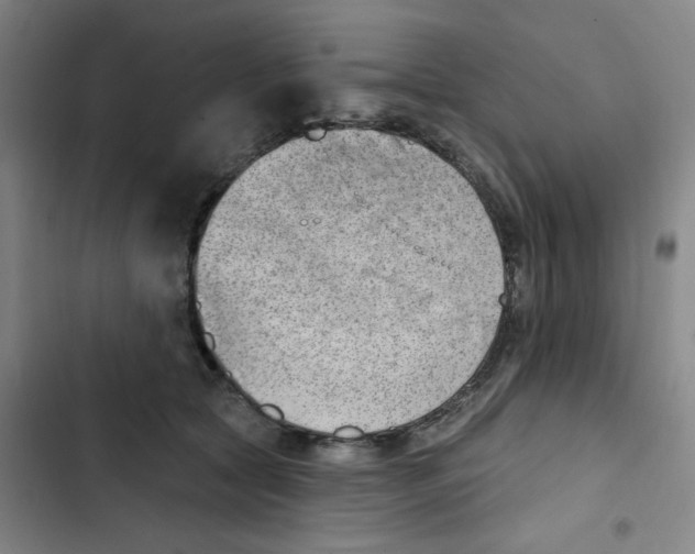 X0000102870561200809151238