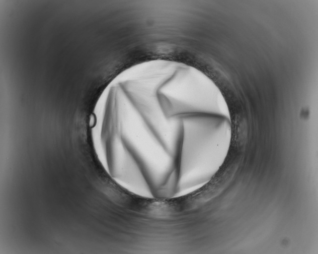 X0000102870562200809151238