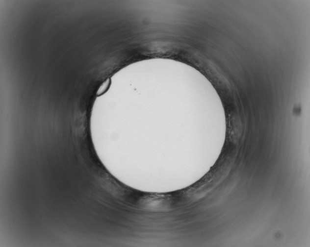X0000102870563200809151238