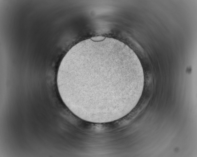 X0000102870565200809151238