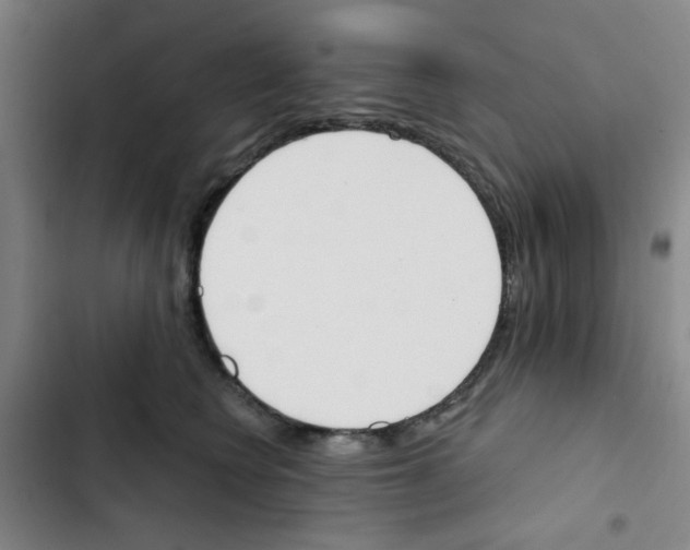 X0000102870566200809151238
