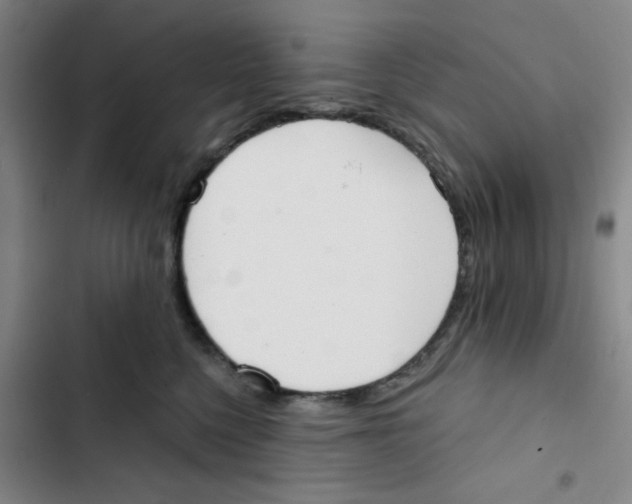 X0000102870568200809151238