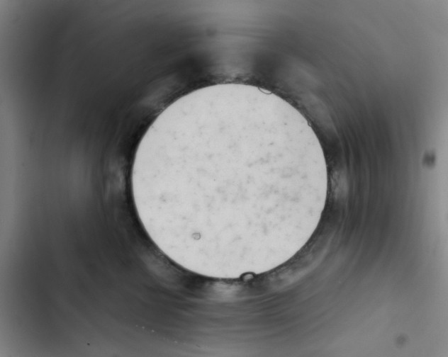 X0000102870570200809151238