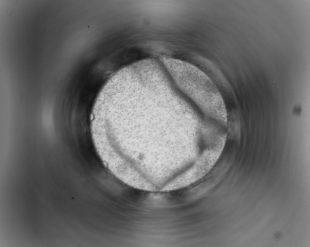 X0000102870573200809151238