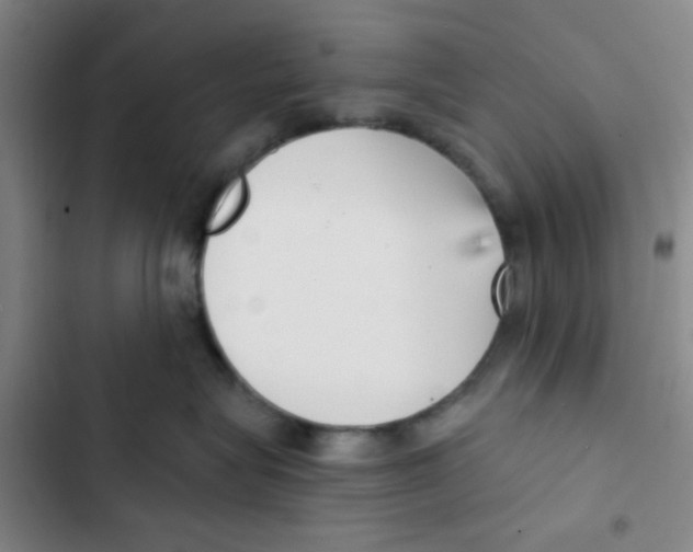 X0000102870575200809151238