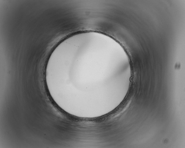 X0000102870577200809151237