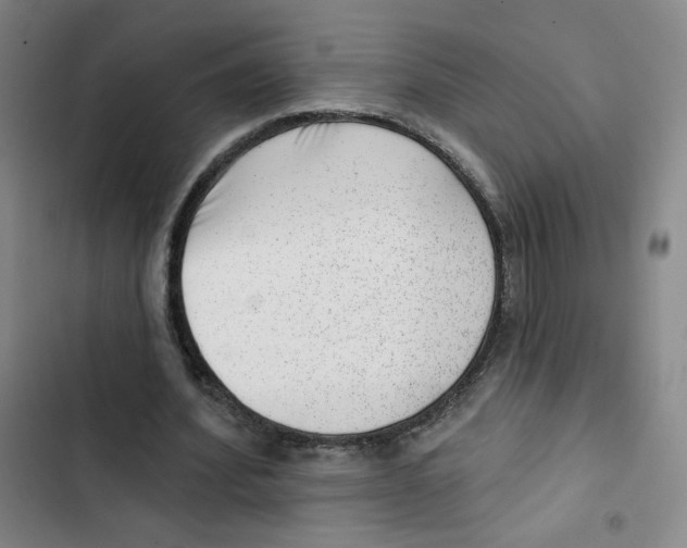 X0000102870580200809151237