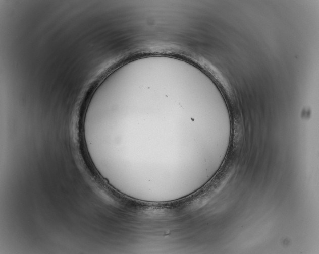 X0000102870581200809151237