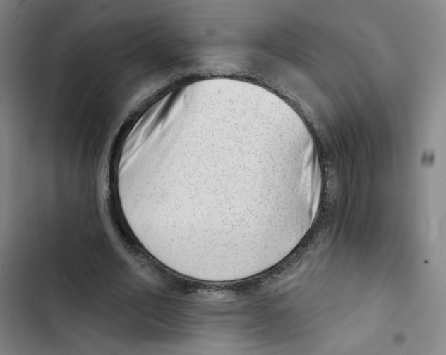 X0000102870582200809151237