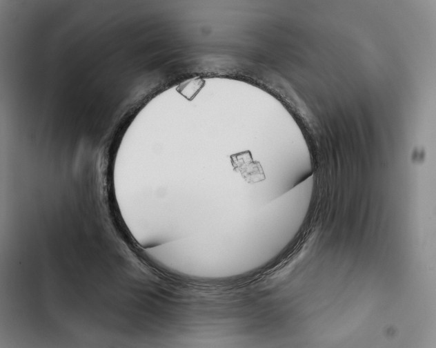 X0000102870585200809151237