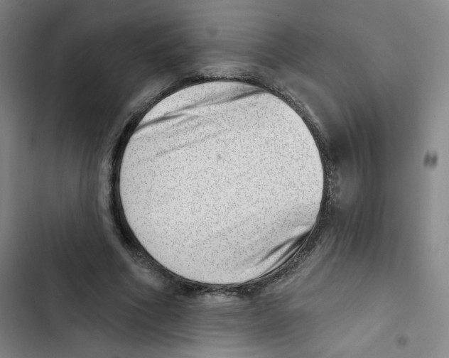 X0000102870586200809151237