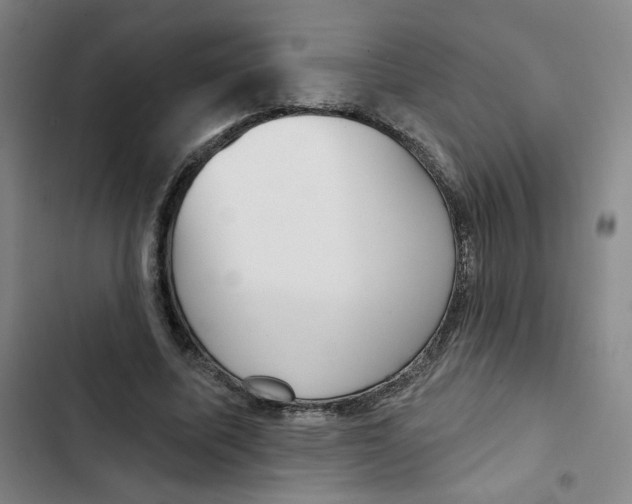 X0000102870587200809151237