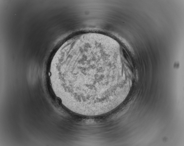 X0000102870588200809151237