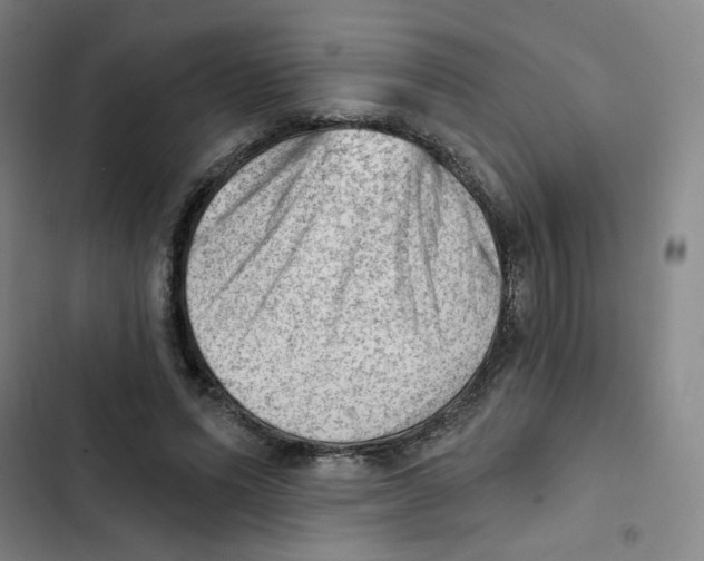 X0000102870591200809151237