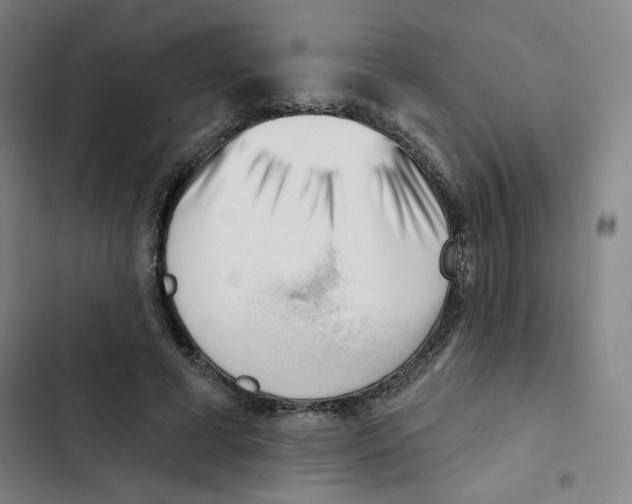 X0000102870593200809151237