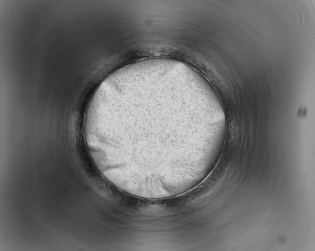 X0000102870594200809151237