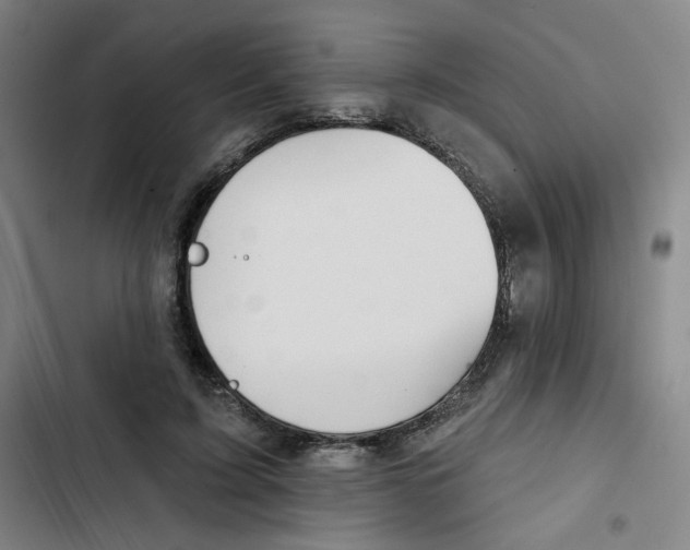 X0000102870595200809151237