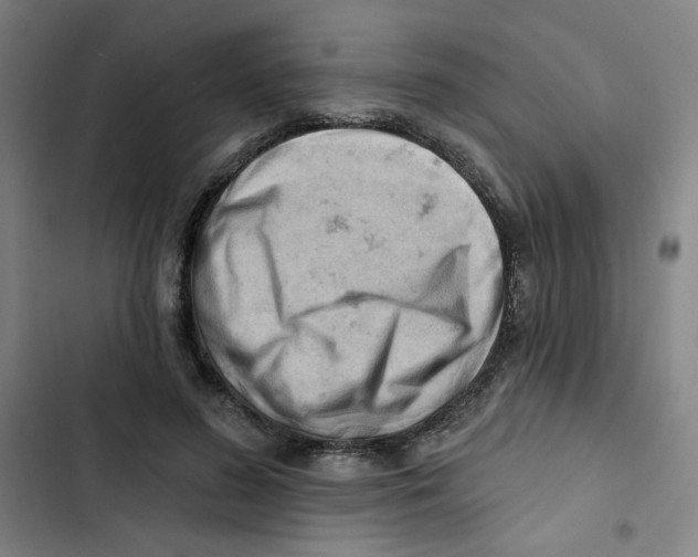 X0000102870596200809151237