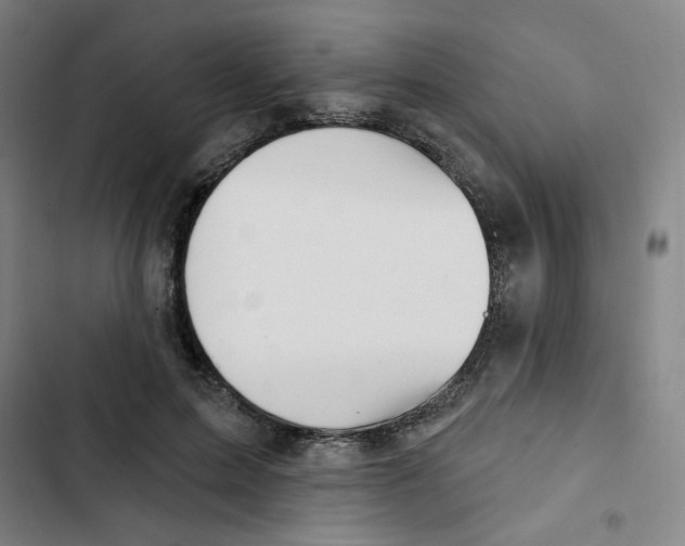 X0000102870599200809151237