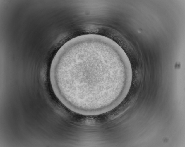 X0000102870600200809151237