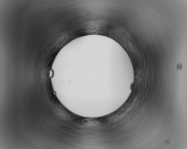 X0000102870601200809151237