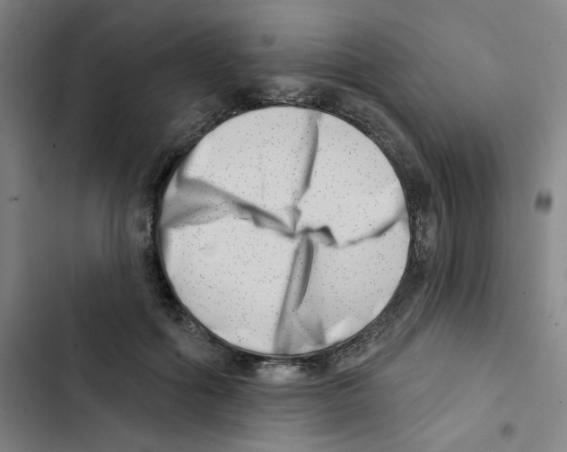 X0000102870602200809151237