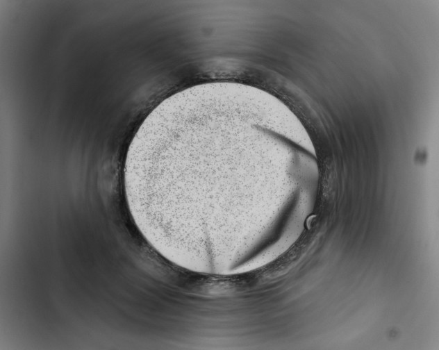 X0000102870604200809151237