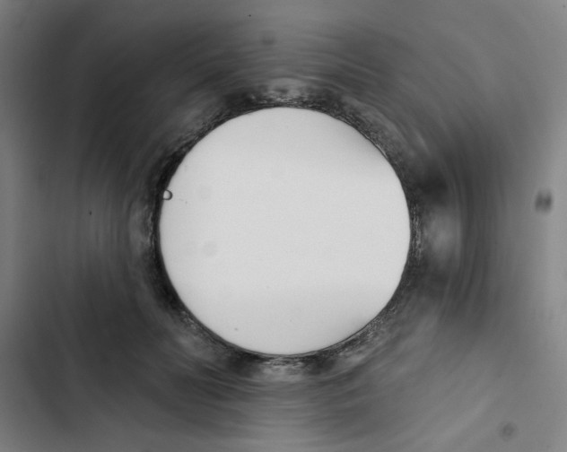 X0000102870606200809151237