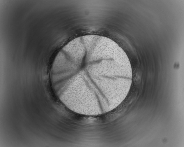 X0000102870607200809151237