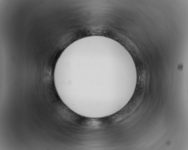 X0000102870610200809151237