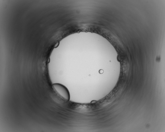 X0000102870611200809151237
