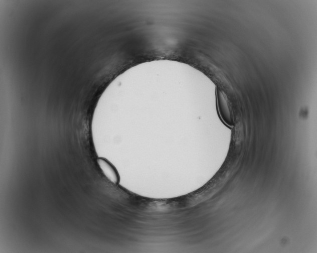 X0000102870613200809151237