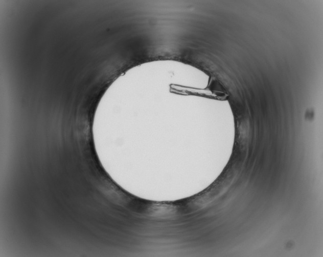 X0000102870617200809151237