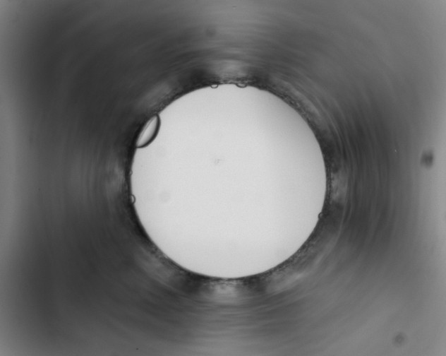 X0000102870618200809151237