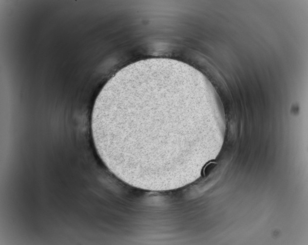 X0000102870620200809151236