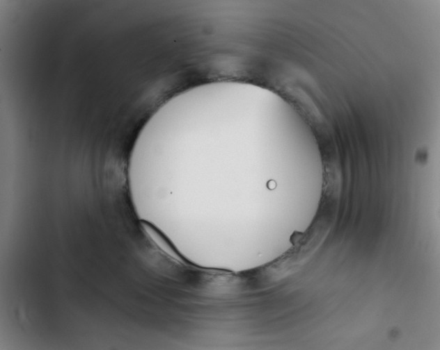 X0000102870621200809151236