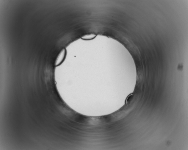 X0000102870623200809151236