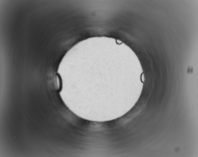 X0000102870624200809151236