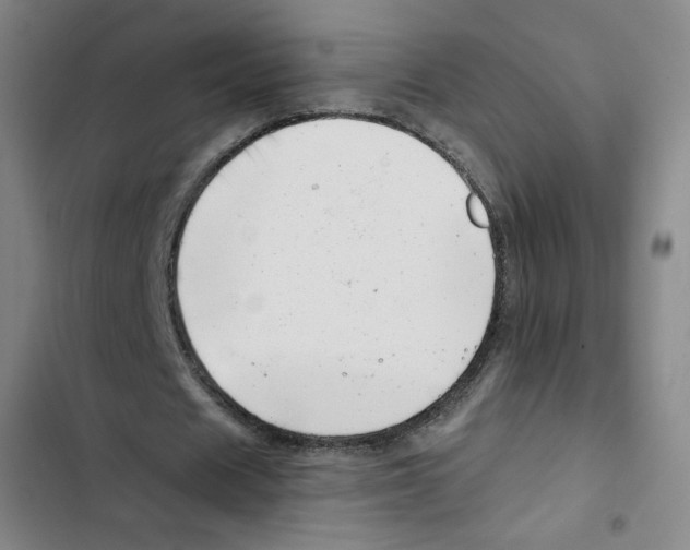 X0000102870625200809151235