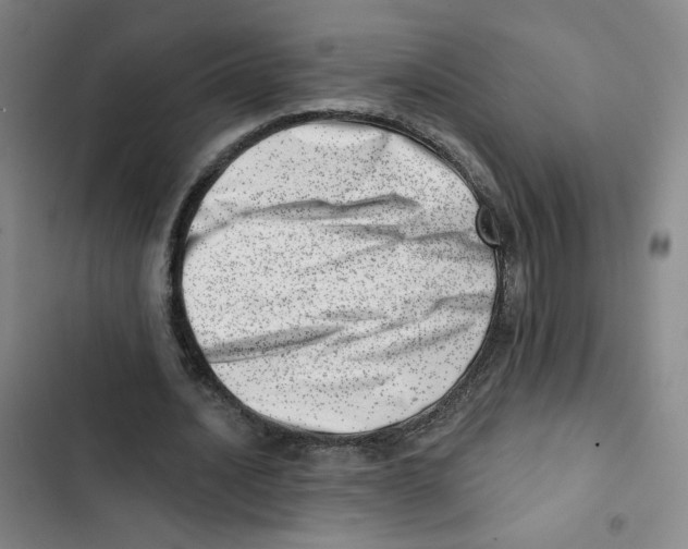 X0000102870628200809151235