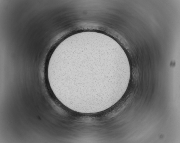 X0000102870629200809151236