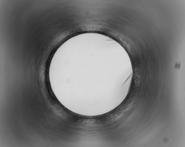 X0000102870631200809151236